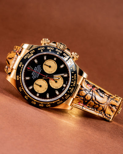 Bespoke Watch Strap in 2 Tone Chestnut Brown Crocodile