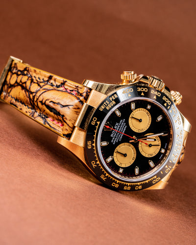 Bespoke Watch Strap in 2 Tone Chestnut Brown Crocodile