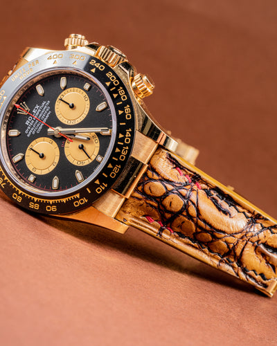 Bespoke Watch Strap in 2 Tone Chestnut Brown Crocodile