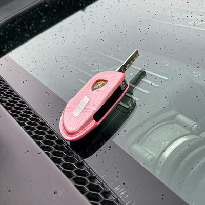 Bespoke Key Fob Cover in Baby Pink and Metallic Silver Alligator