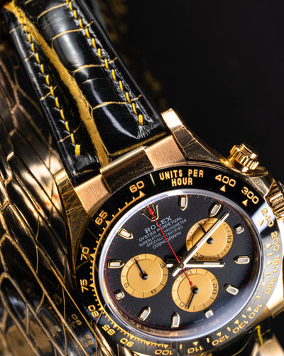 Bespoke Watch Strap in Gold Black Alligator