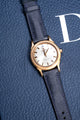 Solitaire Universal Straps in The Pacific Pueblo for Omega Constellation