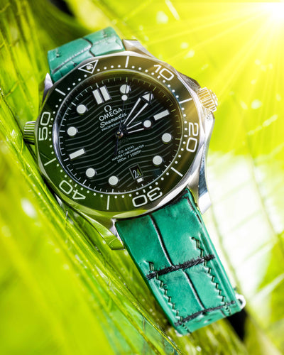 Bespoke Watch Strap in Ombre Green Crocodile