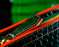 Bespoke Clutch Bag in Pine Green Crocodile