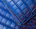 Bespoke Bifold Wallet in Electric Blue Himalayan Crocodile