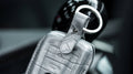 Bespoke Key Fob Cover in Metallic Silver Alligator